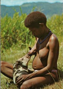 Bild einer afrikanischen Frau, die ein Ferkel stillt