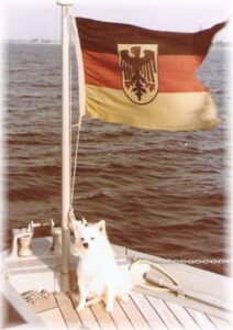 Bordhündinn Conny vom Schnellen Minensuchboot Orion auf hoher See, 1963