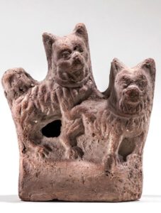 Spitzartige Hunde bei der Paarung . . .