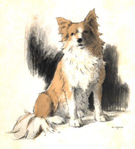 1937 Waif (Kinderbuch), Abb. 02