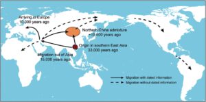 Diese Weltkarte zeigt die globalen Migrationsbewegungen verschiedener früh domestizierter Hundegruppen