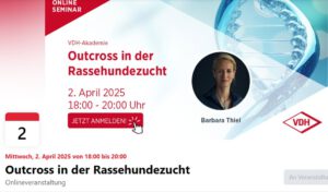Direktlink