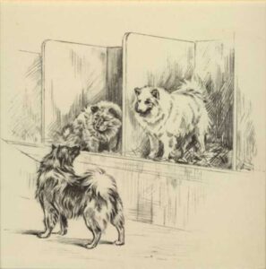 Hunde auf einer Ausstellung