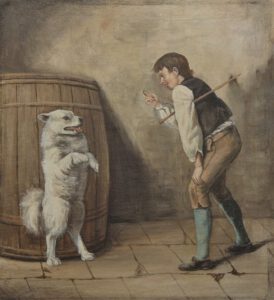 Junge bringt seinem Spitz Kunststückchen bei