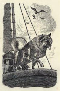 1951 Hals The Keeshond (Kinderbuch) 0