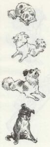 1960 Rags, Borya and the Rocket (Kinderbuch) 06