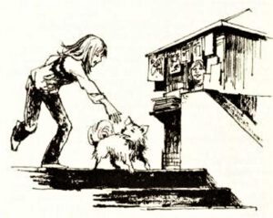 1971 Alles dreht sich um Flocki (Kinderbuch) 08