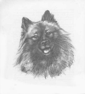 1973 de keeshond (Kinderbuch) 02