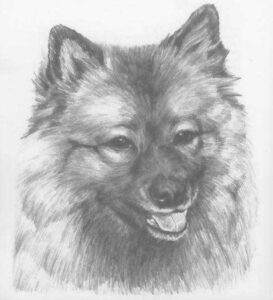 1973 de keeshond (Kinderbuch) 06