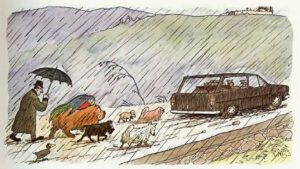 1978 Fünf Hunde erben 1 Million (Kinderbuch) 02