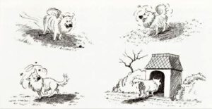 1978 Fünf Hunde erben 1 Million (Kinderbuch) 08