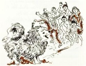 1980 Kleiner Spitz ganz groß (Kinderbuch) 06