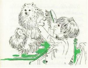 1980 Kleiner Spitz ganz groß (Kinderbuch) 11