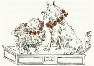 1980 Kleiner Spitz ganz groß (Kinderbuch) 12