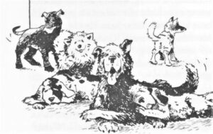 1998 Sechs Streuner (Kinderbuch) 02