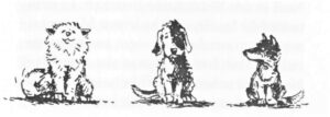1998 Sechs Streuner (Kinderbuch) 04