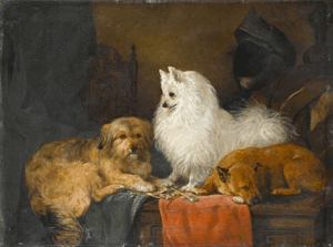Ein Spitz mit anderen Hunden auf einer Truhe, 1870, John Charlton