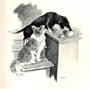 1937 Waif (Kinderbuch), Abb. 05