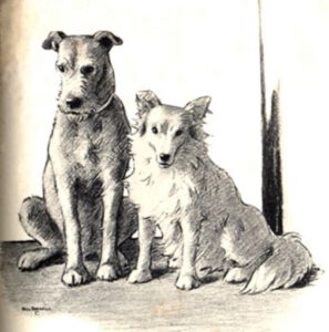 1937 Waif (Kinderbuch), Abb. 06