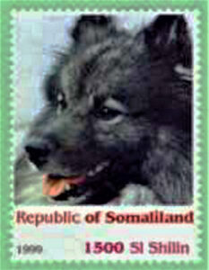 Somaliland, 1999