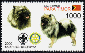Ost-Timor, 2000