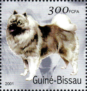 Guinea-Bissao, 2001