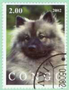 Kongo, 2002