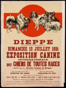 Hunde-Ausstellung Dieppe 1931