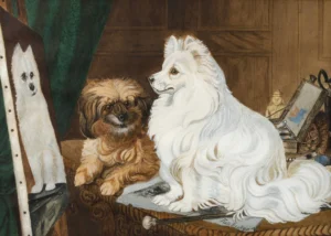 Ein weißer Spitz sieht sich sein eigenes Portrait an wie ein Spiegelbild - ein anderer Hund liegt unbeteiligt daneben.