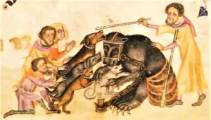 Tierkämpfe- Quelle: Luttrell Psalter, England um 1330-1340