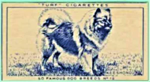 ,,Turf'' Cigarettes - 50 famous Dog Breeds