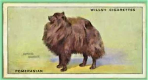 Will's Zigaretten