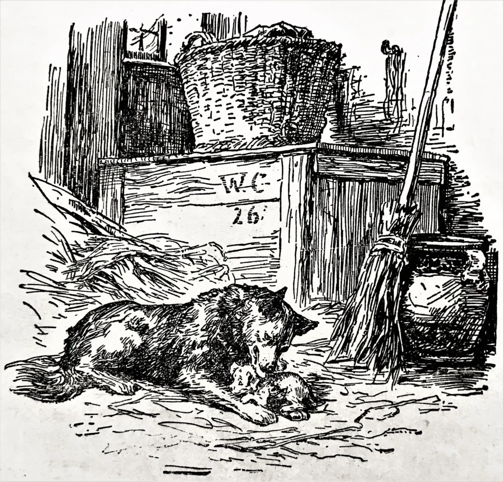 Claudius, Wilhelm (1854 - 1942) 1926 Abdruck im Harz-Berg-Kalender 1928, S. 64