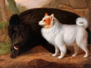 Kehrer, Christian Wilhelm Karl (1770 - 1869) 1818 Spitz auf totem Eber