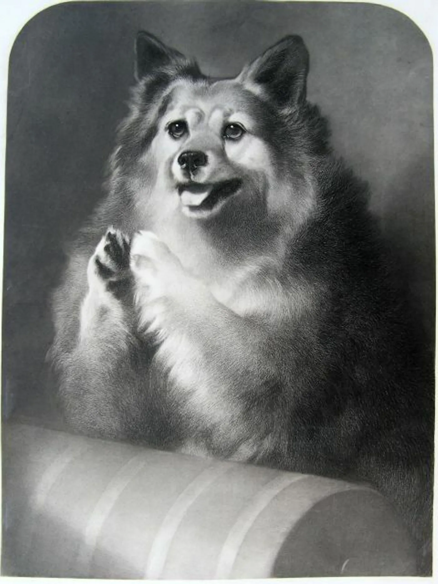 Landseer, Edwin & Thomas, 1851 Originalgravur - Good Doggie - London