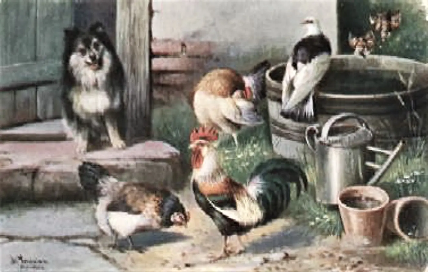 Schönian, Alfred (1856-1936) 1905 Federvieh im Hof, von einem Spitz beobachtet