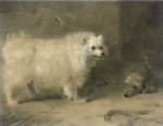 Thorburn, Archibald (1860 - 1935) 1884 Zwei Hunde, signiert und datiert