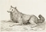 Tischbein d. J., Johann Heinrich (1742 - 1808) 1808 (nach ca.) ,,Ein liegender Spitz''