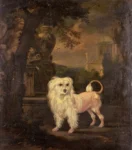 Wyck, Jan (1645  ´- 1702) JJJJ  A Lowchen By A Fountain