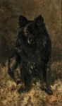 van Essen, Jan 1854 - 1936) 1912 Portrait eines schwarzen Hundes