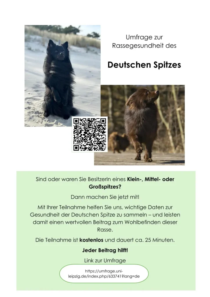 Flyer
Umfrage zur
Rassegesundheit des
Deutschen Spitzes